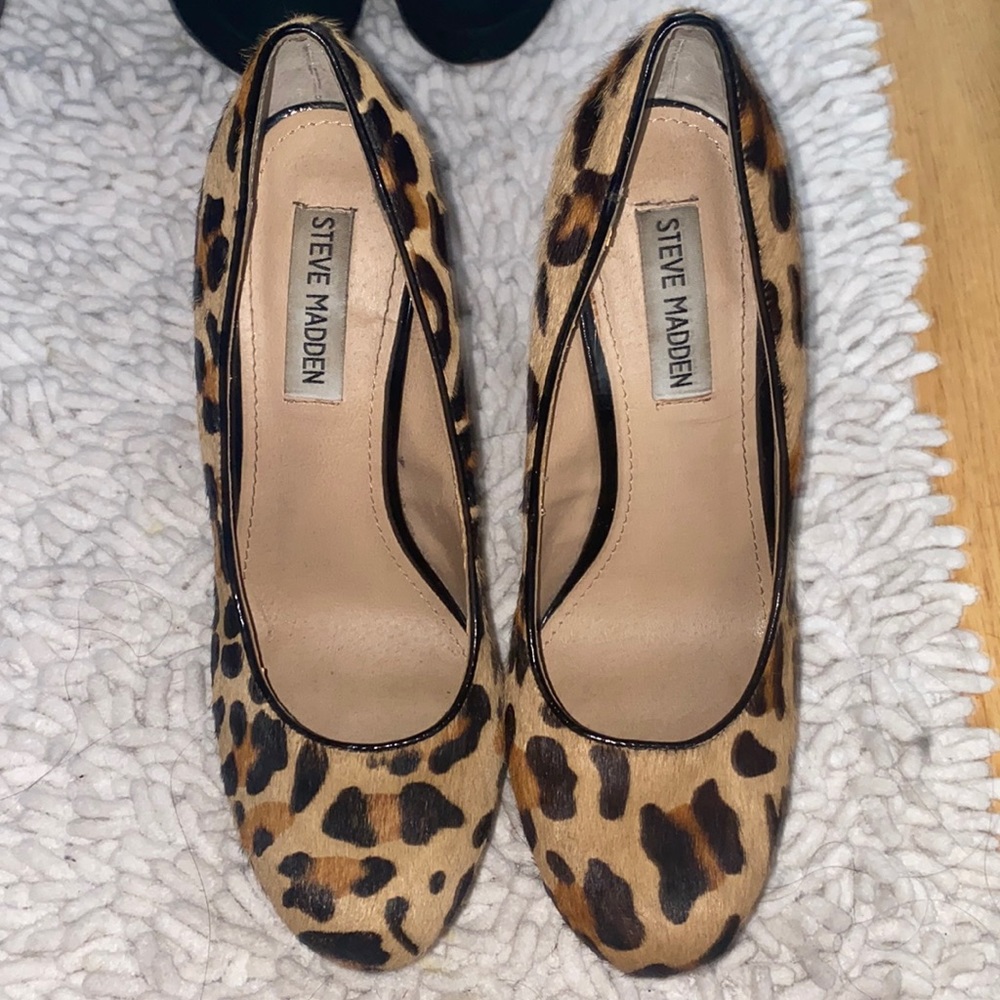 Leopard heels steve madden